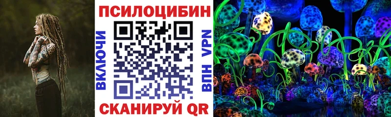 где можно купить   Зея  Псилоцибиновые грибы GOLDEN TEACHER 